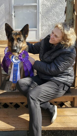 Ch. Kis Malchik van Contra Haus, a normal, OFA H, DM clear "Kis" Progeny